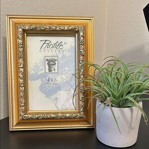 Gold Picture Frame